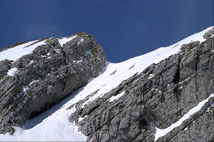 WILDHUSER SCHAFBERG