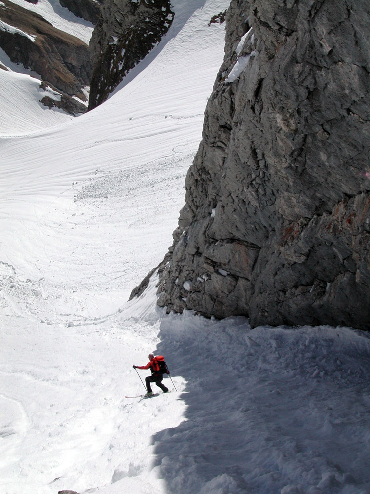 WILDHUSER SCHAFBERG