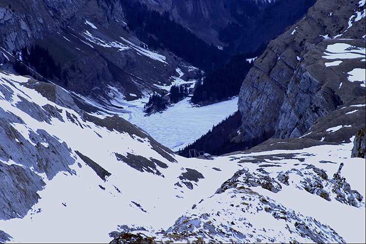 SEEALPSEE