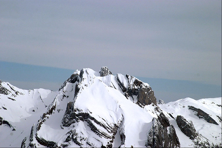 WILDHUSER SCHAFBERG