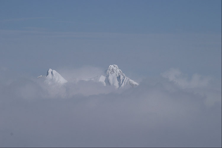 WILDHUSER SCHAFBERG