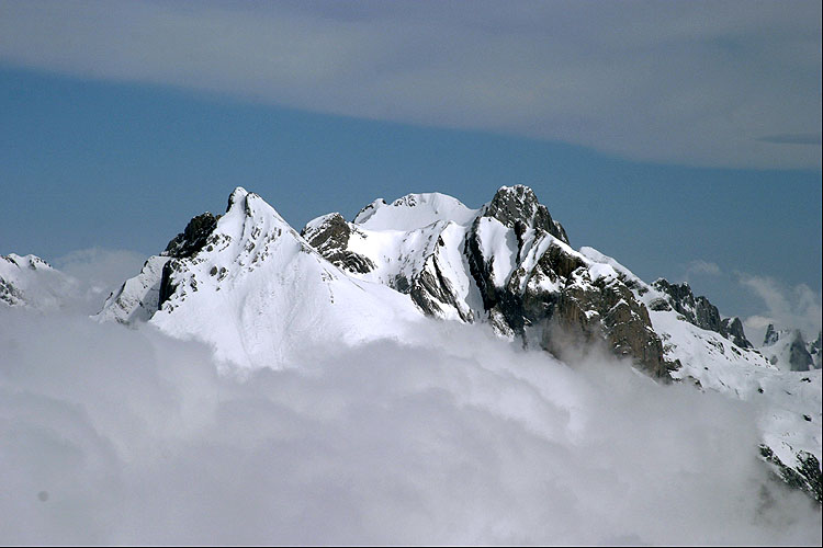 WILDHUSER SCHAFBERG