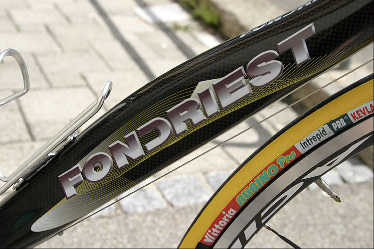 FONDRIEST Domino Plus yellowtech