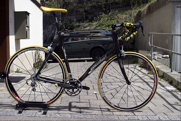 FONDRIEST Domino Plus yellowtech