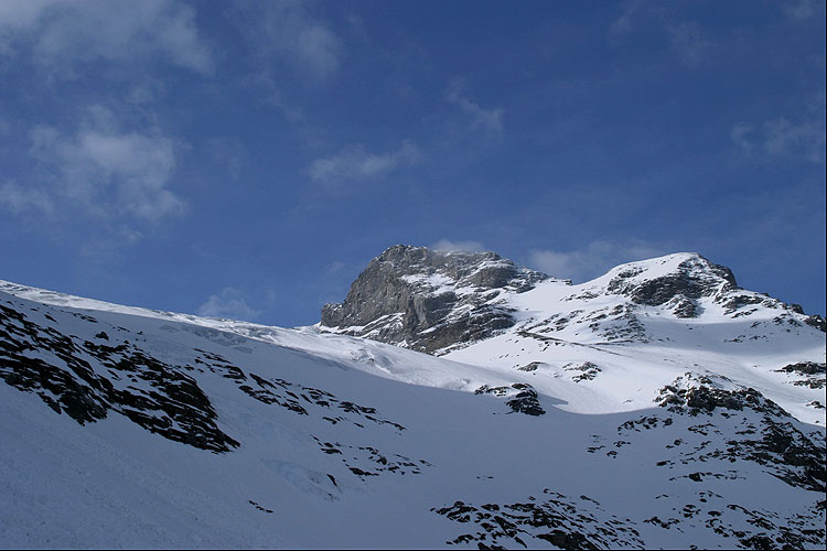 GROSS SCHRHORN