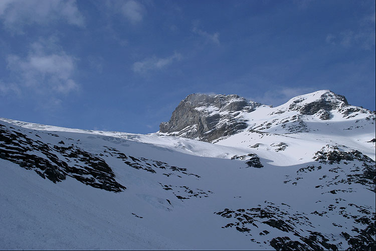 GROSS SCHRHORN