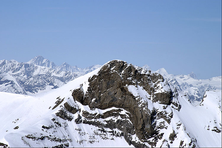 GROSS SCHRHORN