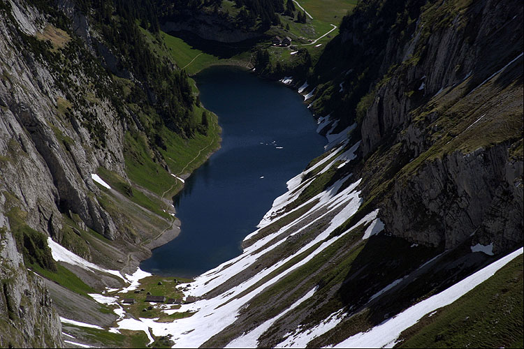 FLENSEE