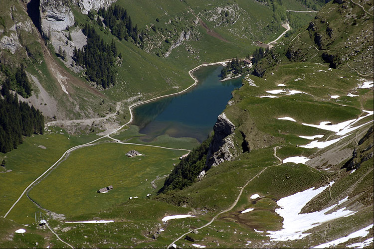 SEEALPSEE