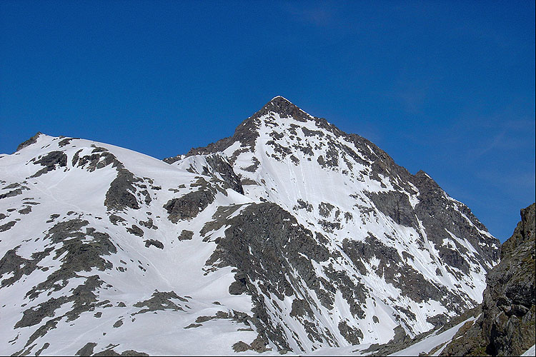 PIZZO TAMBO