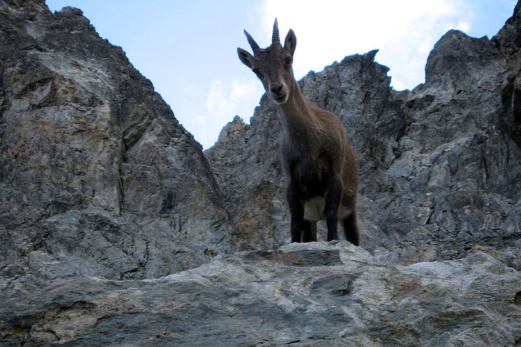 RIFUGIO GONELLA