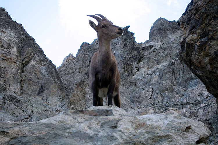 RIFUGIO GONELLA