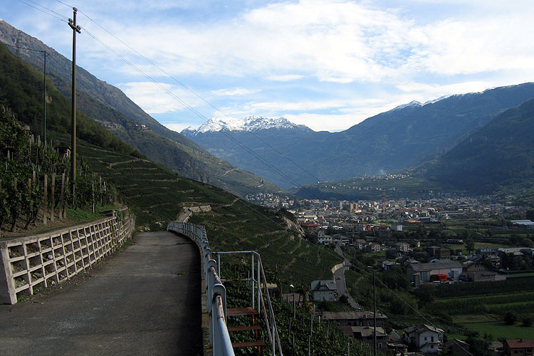 TIRANO