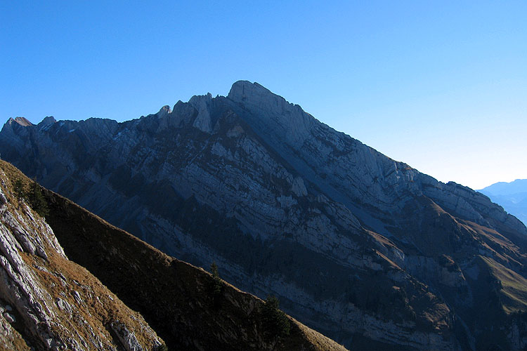 WILDHUSER SCHAFBERG