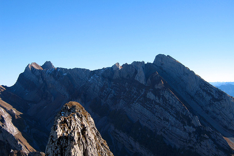 WILDHUSER SCHAFBERG