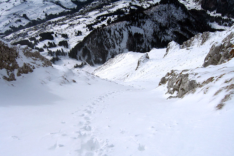 WILDHUSER SCHAFBERG