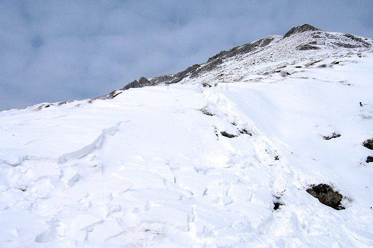 WILDHUSER SCHAFBERG