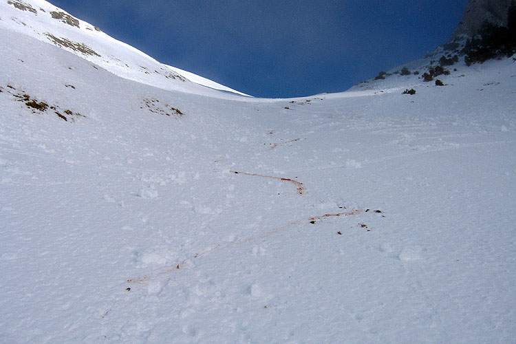 WILDHUSER SCHAFBERG