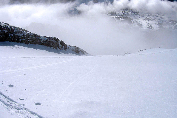 WILDHUSER SCHAFBERG