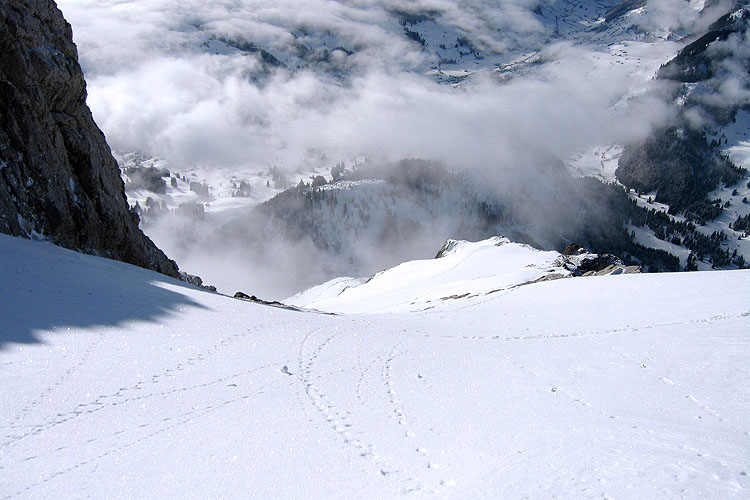 WILDHUSER SCHAFBERG