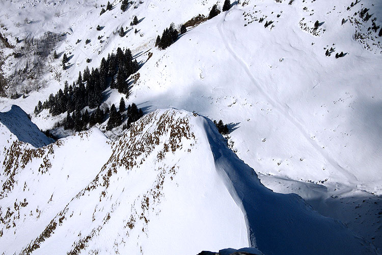 WILDHUSER SCHAFBERG