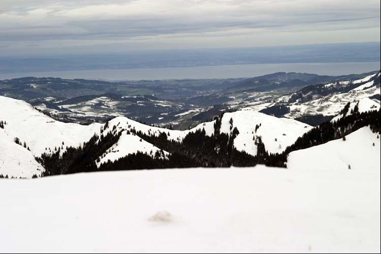 BODENSEE TG