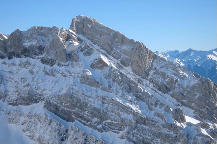 WILDHUSER SCHAFBERG