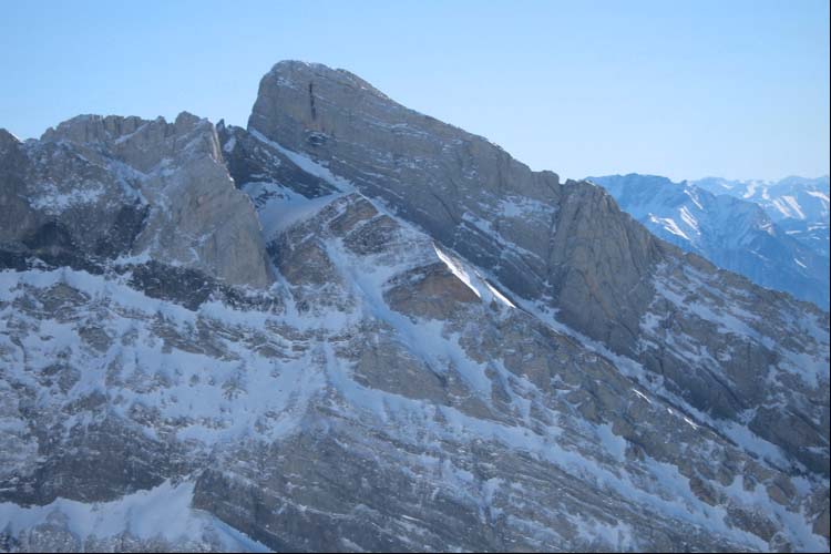 WILDHUSER SCHAFBERG