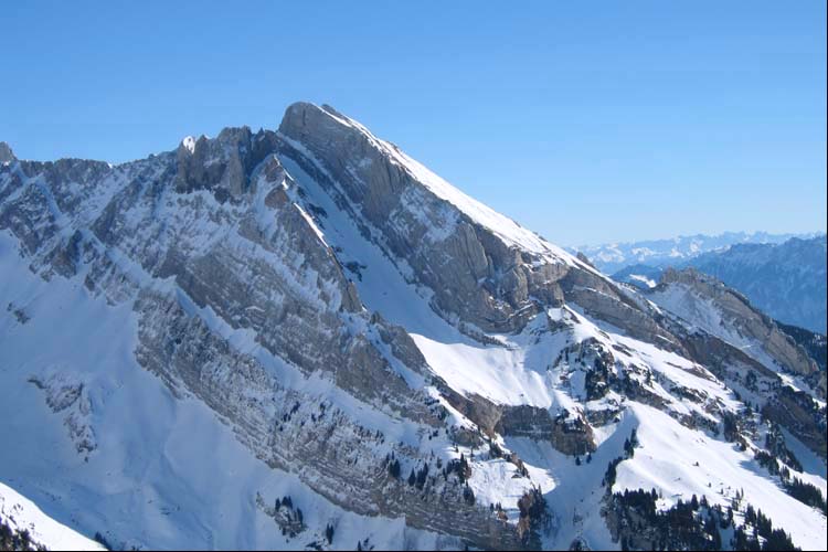 WILDHUSER SCHAFBERG