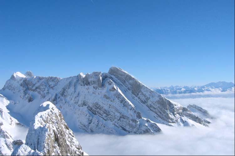 WILDHUSER SCHAFBERG