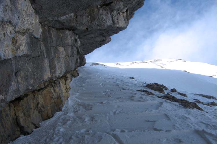 WILDHUSER SCHAFBERG