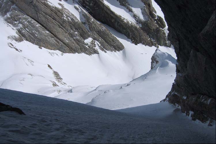 WILDHUSER SCHAFBERG