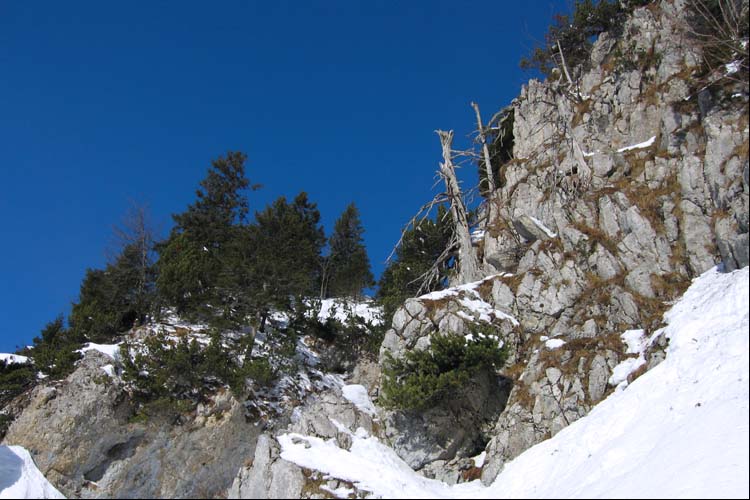 WILDHUSER SCHAFBERG