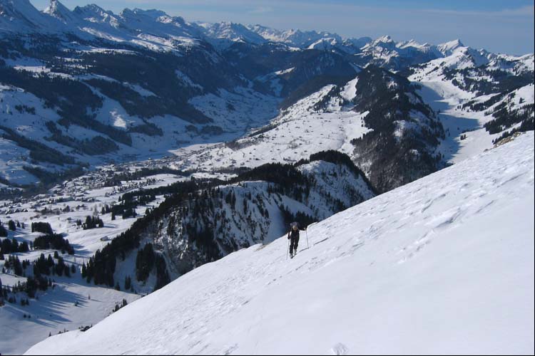 WILDHUSER SCHAFBERG