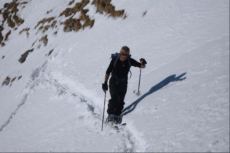 WILDHUSER SCHAFBERG