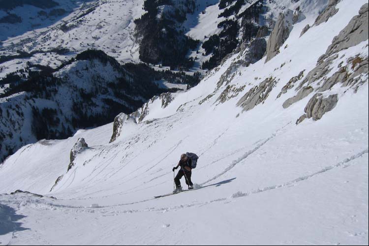 WILDHUSER SCHAFBERG