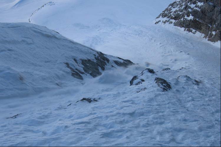 WILDHUSER SCHAFBERG