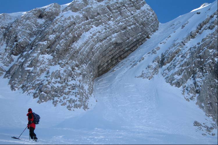 WILDHUSER SCHAFBERG