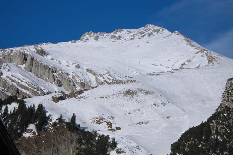 WILDHUSER SCHAFBERG