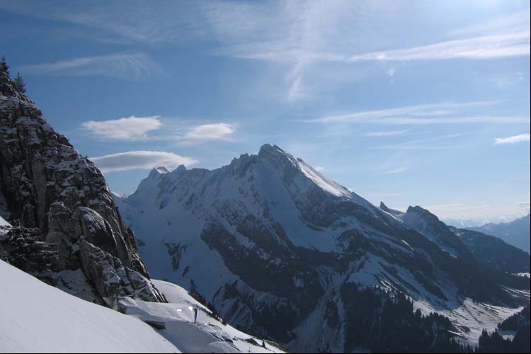 WILDHUSER SCHAFBERG