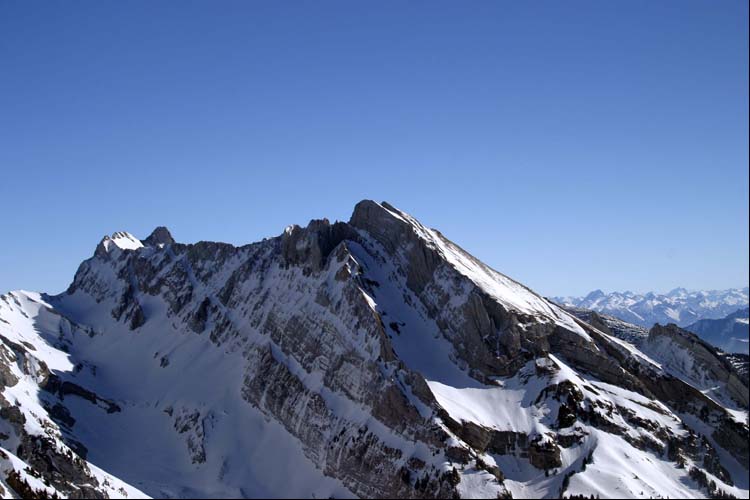 WILDHUSER SCHAFBERG SG