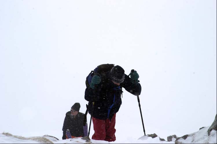 WILDHUSER SCHAFBERG SG