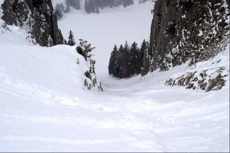 WILDHUSER SCHAFBERG SG