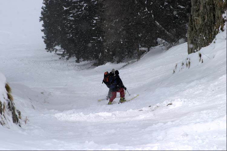 WILDHUSER SCHAFBERG SG