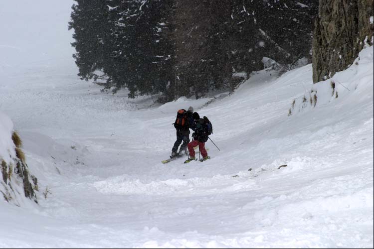 WILDHUSER SCHAFBERG SG