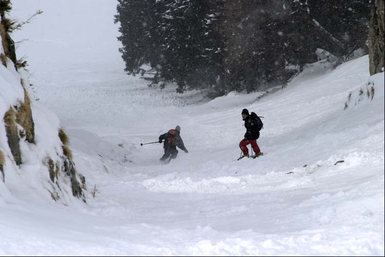 WILDHUSER SCHAFBERG SG