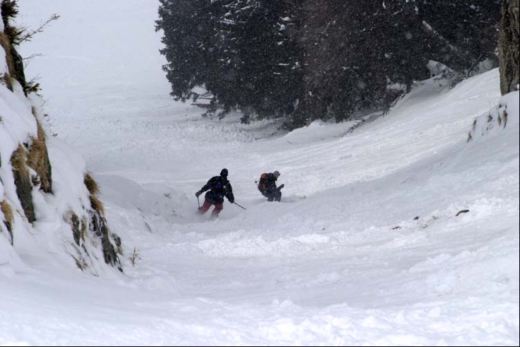 WILDHUSER SCHAFBERG SG