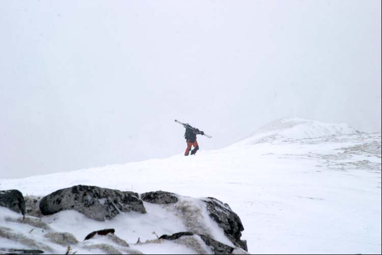 WILDHUSER SCHAFBERG SG