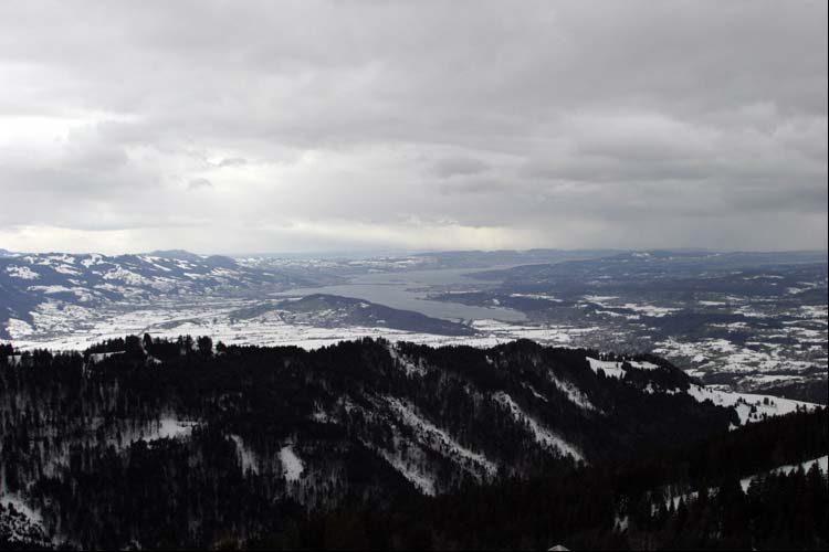 ZRICHSEE