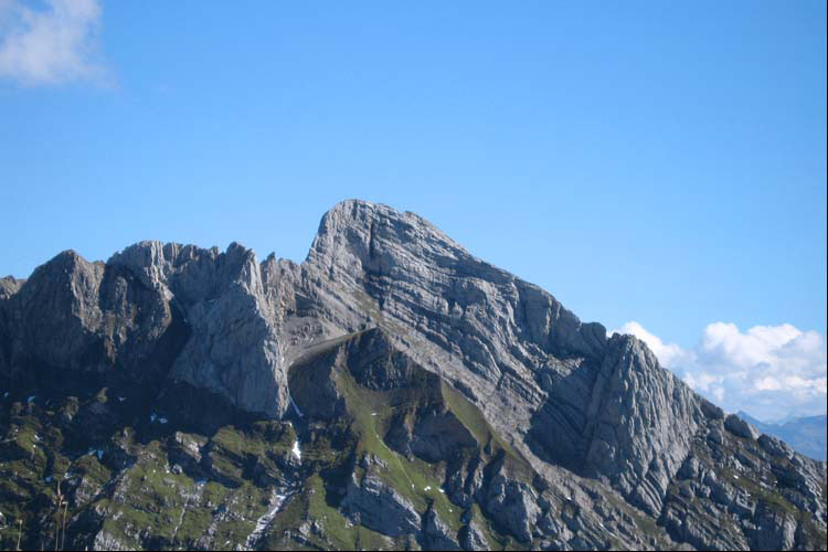 WILDHUSER SCHAFBERG